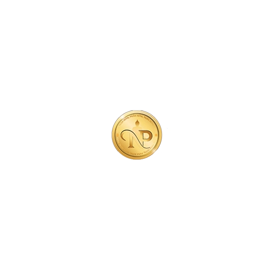 NepalPaisa | Client | 25 Hours